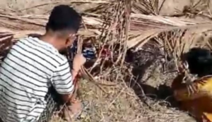 Mayat Nenek Telah Menghitam dan Kaku Ditemukan di Bawa Kaki Gunung Kecamatan Dulupi, Boalemo