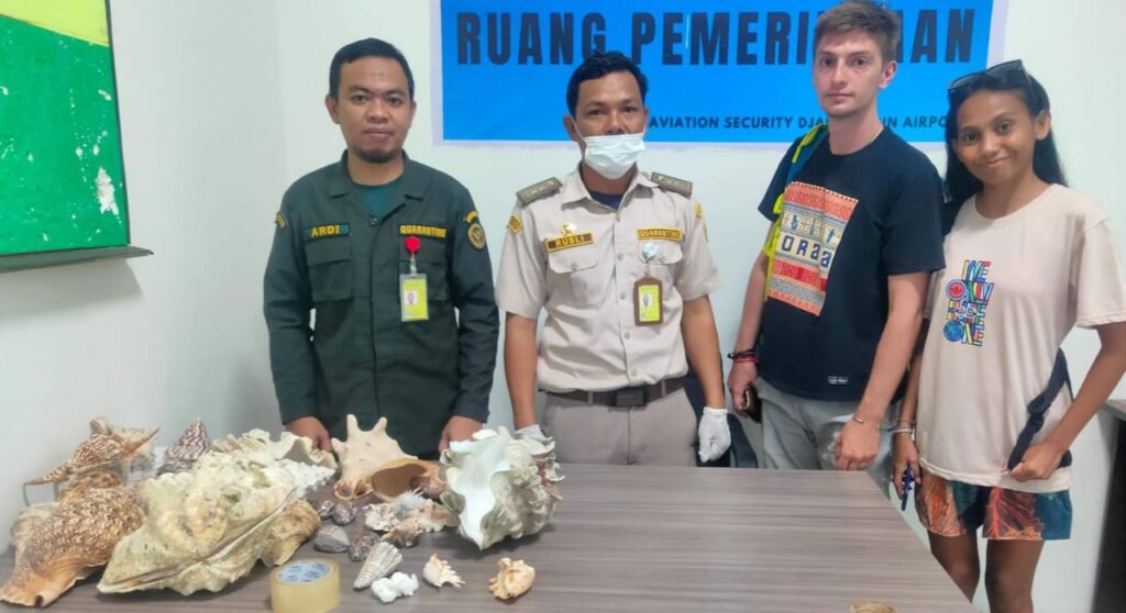 Karantina Gorontalo Gagalkan Penyelundupan 4 Jenis Ikan Dilindungi, Diduga Dibawa ke Jerman-Prancis