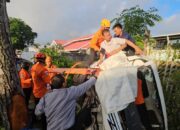 Mobil Pickup di Gorontalo Tabrak Pohon, 2 Orang Luka gegara Mabuk