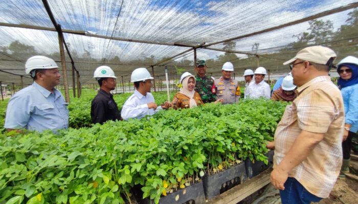 Tinjau Operasional BJA Group Bersama Forkopimda, Plt Bupati Pohuwato Tegaskan Perusahaan Telah Penuhi Aturan dan Harapan Masyarakat