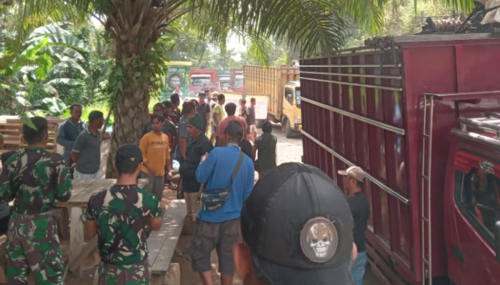 PT Loka Indah Lestari Lakukan Penertiban Ilegal Logging di Popayato