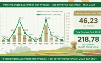 Gorontalo Krisis Beras! Produksi Hanya 33 Ribu Ton di Tahun 2024, Turun 13 Persen