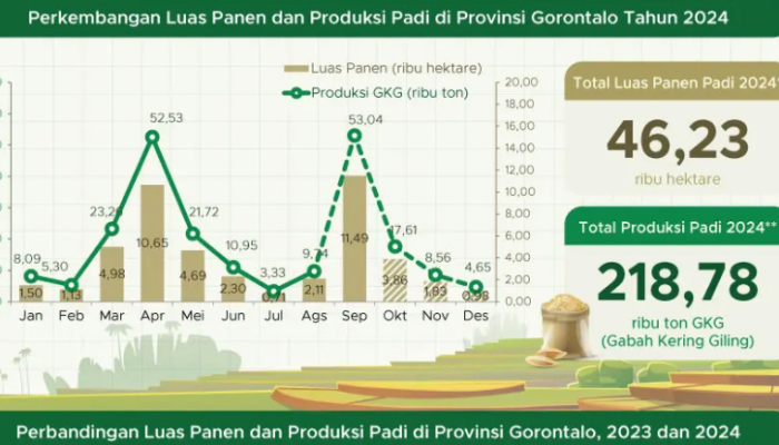 Gorontalo Krisis Beras! Produksi Hanya 33 Ribu Ton di Tahun 2024, Turun 13 Persen