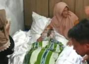 BREAKING NEWS! Dua Warga Gorontalo Utara Keracunan Konsumsi Ikan Buntal, Satu Meninggal Dunia