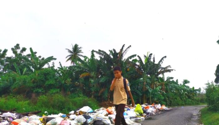 Sampah Menumpuk Di Jalan Sawit Warga Keluhkan Bau Tak Sedap