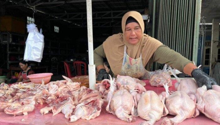 Harga Daging Sapi dan Ayam di Pasar Tilamuta Naik Jelang Iduladha