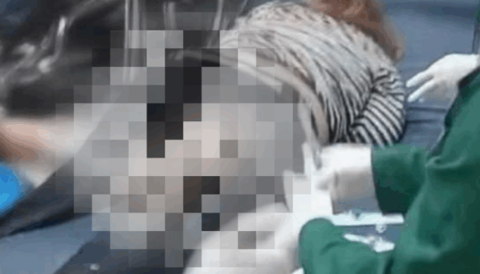 Mabuk Berat, Pria di Randangan Pohuwato Nekat Tikam Istri Sendiri