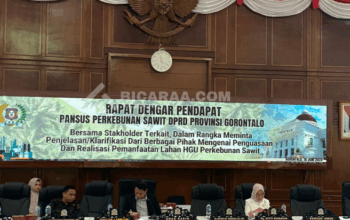 Pansus Deprov Temukan Dugaan Pelanggaran UU Perkebunan Sawit di Gorontalo