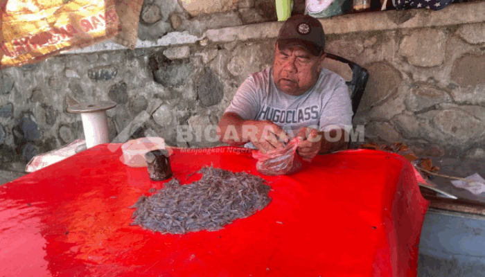 Musim Nike Tiba Lebih Cepat, Pedagang Gorontalo Mulai Panen Untung