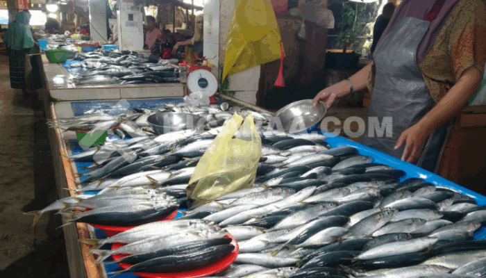 Harga Ikan di Pasar Pohuwato Turun Drastis, Cakalang Anjlok Jadi Rp15 Ribu