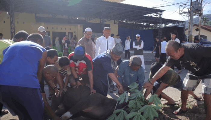 Polres Gorontalo Kota Sembelih Hewan Kurban, Tebar Kepedulian Sosial