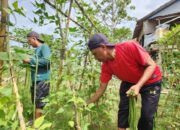 Penjual Sayur Keliling Bantu Distribusi Hasil Pertanian Warga Binaan Lapas