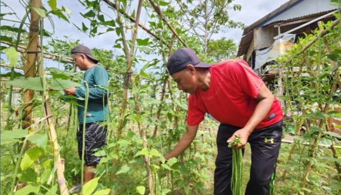 Penjual Sayur Keliling Bantu Distribusi Hasil Pertanian Warga Binaan Lapas