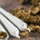 Dua Pemuda Diringkus di Kota Gorontalo, Ganja Disimpan dalam Bungkus Rokok