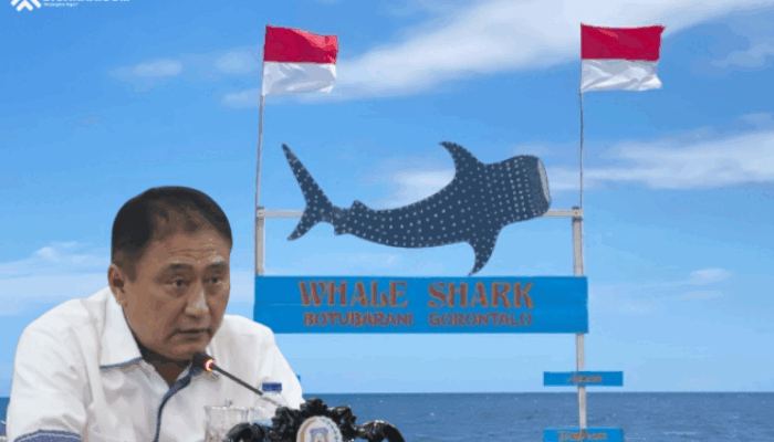Wisata Hiu Paus Terancam, Mikson Yapanto Akan Sidak Tambang Galian C di Botubarani