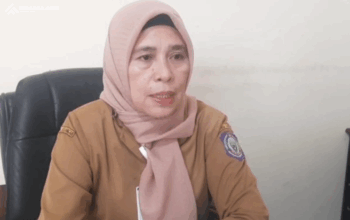 Program Bebas Denda Pajak Gorontalo Diserbu, 831 Kendaraan Lunas dalam 6 Hari