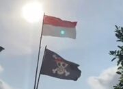 Bendera Bajak Laut One Piece Berkibar di Boalemo, Ini Penjelasan Remaja Pengibarnya