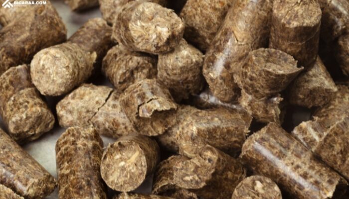 Penuhi SVLK, Produk Wood Pellet Indonesia Dijamin Legalitas dan Kelestariannya