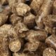Penuhi SVLK, Produk Wood Pellet Indonesia Dijamin Legalitas dan Kelestariannya