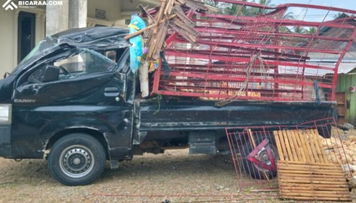Mobil Carry Ringsek, Ratusan Ayam Mati Usai Hantam Jembatan di Pohuwato