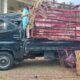 Mobil Carry Ringsek, Ratusan Ayam Mati Usai Hantam Jembatan di Pohuwato