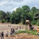 Tambang Ilegal di Boalemo Kini Tak Lagi Beroperasi