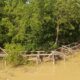 Proyek Miliaran, Jembatan Wisata Mangrove Pohuwato Rusak Total, Tak Terurus