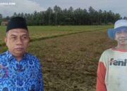Kadis Pertanian Pohuwato Akui PETI Jadi Biang Kerok Petani Gagal Panen