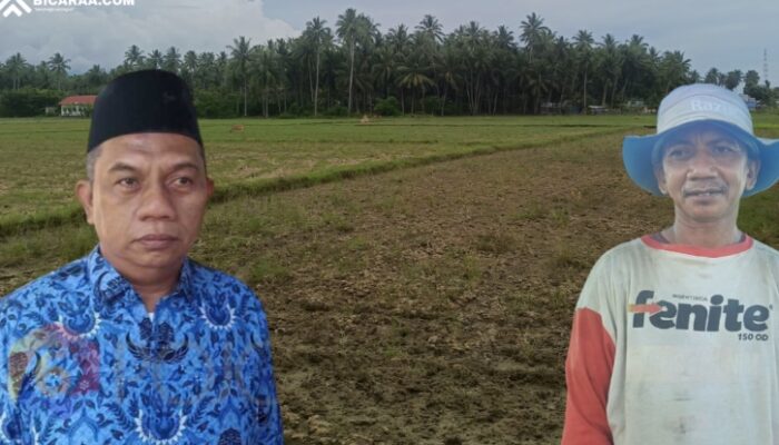 Kadis Pertanian Pohuwato Akui PETI Jadi Biang Kerok Petani Gagal Panen