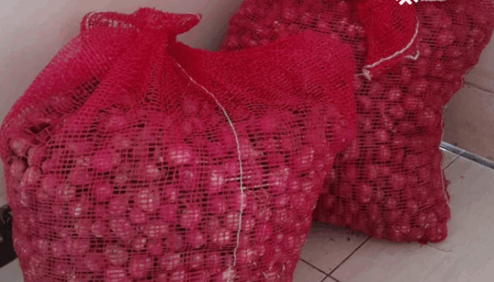 Rp50 Ribu Per Kilo, Bawang Merah di Boalemo Bisa Dipesan Online