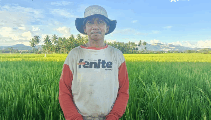 PETI Rusak Air Sawah, Petani Duhiadaa Menjerit Gagal Panen