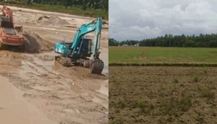 Tambang Ilegal Mencekik, Petani Pohuwato Putus Asa Menyambung Hidup