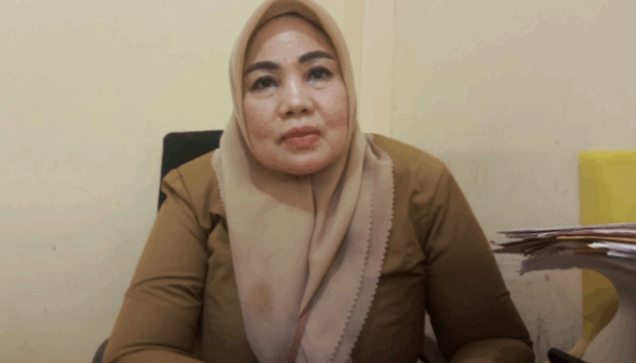 DLH: Paparan Merkuri PETI di Pohuwato Picu Kerusakan Janin dan Ginjal
