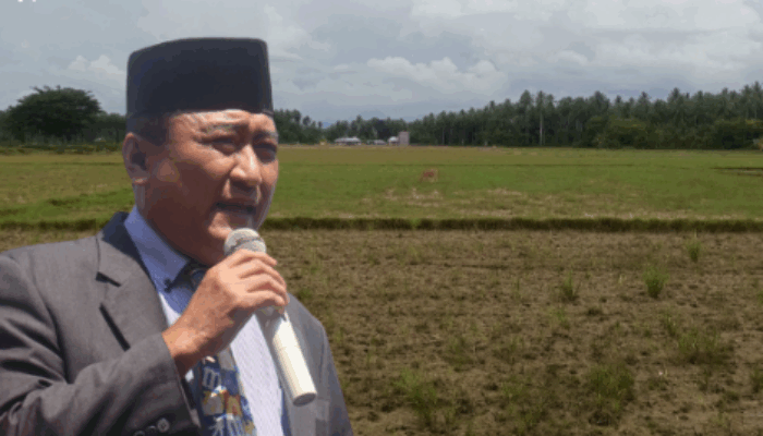 Mikson Sebut PETI Ancam Ketahanan Pangan, DPRD Harus Tegas