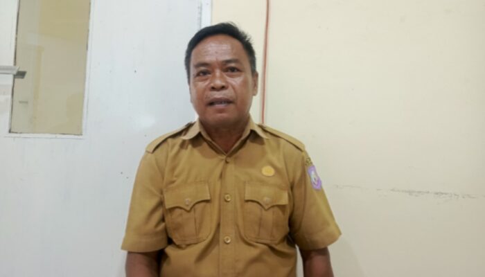 POPT Pohuwato Catat 15 Hektare Jagung Gagal Panen Akibat Tikus
