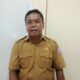POPT Pohuwato Catat 15 Hektare Jagung Gagal Panen Akibat Tikus