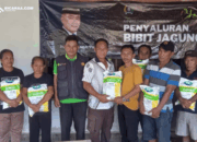 Setelah Padengo, Talaga dan Londoun Kini Terima Bibit dari Mikson Yapanto