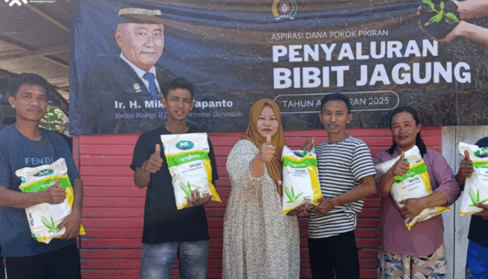 Bibit Gratis, Petani Randangan Puji Mikson Yapanto: Pejuang Ketahanan Pangan
