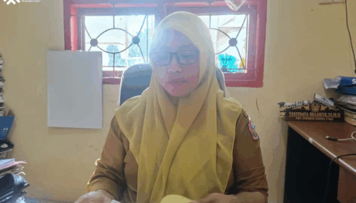 PETI Rusak 567 Hektar Lahan di Pohuwato, DLH Ungkap Fakta Baru