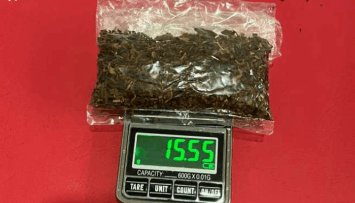 Narkotika Tembakau Gorilla Masuk Pohuwato, Satu Pelaku Ditangkap