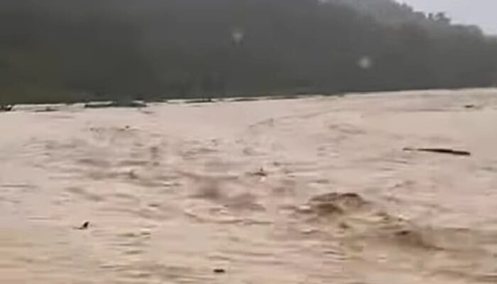 Aktivitas PETI Alamotu Lumpuh, Banjir Seret Mesin dan Tenda Penambang
