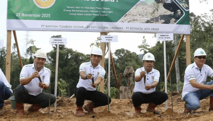 Penanaman Gamal BJA Grup Tembus 20 Juta, Dorong Energi Hijau Pohuwato
