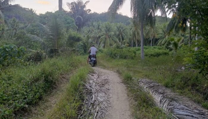 Kades Akui Jalan Tani Wonggararsi Timur Mangkar Sejak 2025