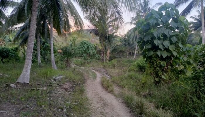 Jalan Tani Wonggararsi Timur Mangkrak BPD Lapor Bupati