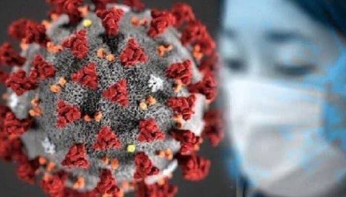 Email Rahasia 2017 Epstein Bukti Dugaan Skenario Pandemi Covid19