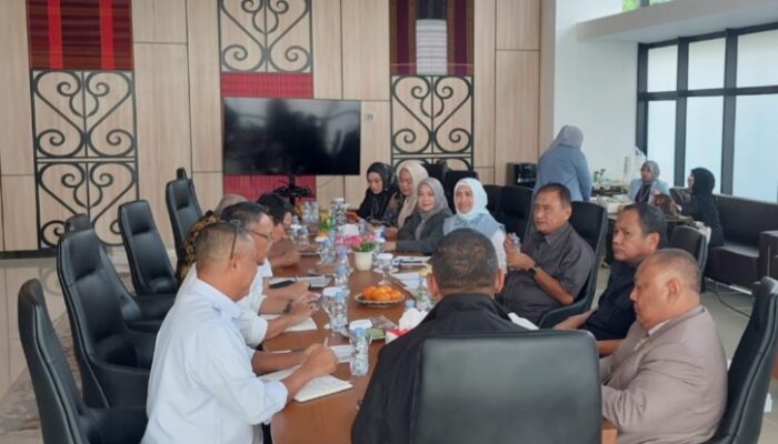 Kelangkaan BBM Jadi Masalah, Komisi II DPRD Gorontalo Temui Komisi XII DPR RI